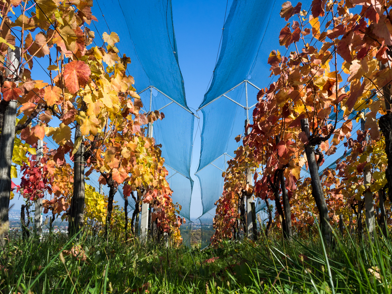 Illustration for article titled 48 Photos Of Autumn Around The World